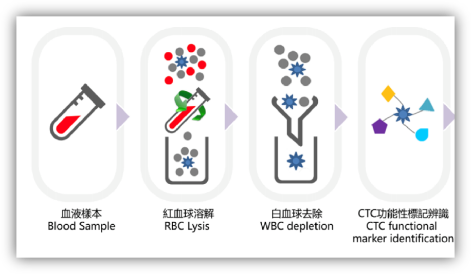 CTC workflow diagram showing blood sample, RBC lysis, WBC depletion, and functional marker identification